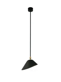 Ceiling Lamp Bookshelves af Serge Mouille