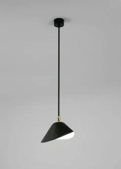 Ceiling Lamp Bookshelves af Serge Mouille