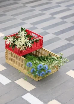 Colour crate S, red fra Hay