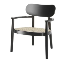 119 F lænestol fra Thonet