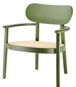 119 F lænestol fra Thonet