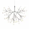 Heracleum III Suspended, Small, nickel fra Moooi