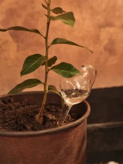 Mercury Water Globe, vandingskugler, 2-pak, clear fra Ferm Living