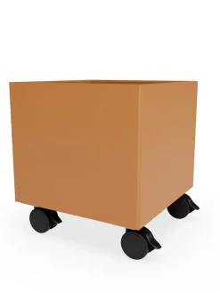 Montana Mini Play Kasse