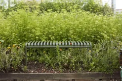 Palissade Bench, olive fra Hay
