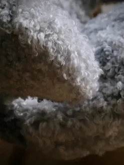 Pelikanstolen, gotlandsk fåreskind af Finn Juhl