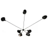 Spider Big Wall Lamp w/7 Fixed Arms af Serge Mouille
