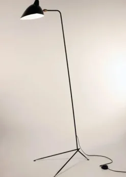 Standing Lamp w/1 Head/Arm af Serge Mouille